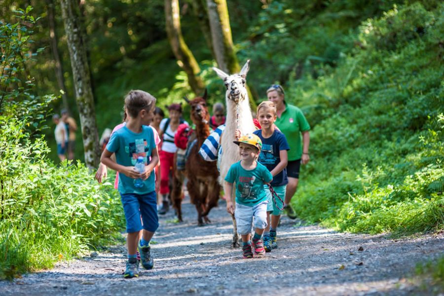 Lama Wanderung